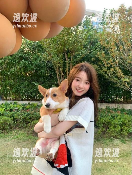 这些白占坑的瓜，51黑料不打烊，免费畅玩究竟有多爽？