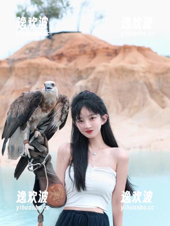 永久不息的传闻，黑料社区pro的神奇之旅